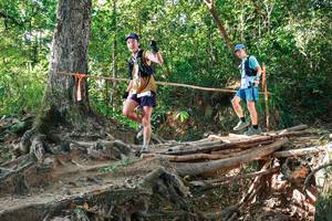 BIB: 
                            <button type="button" onclick="openModal(27552298)" class="btn btn-primary btn-sm float-right btn-popup" data-toggle="modal" data-target=".modal-high-quality">
                        <i class="fas fa-shopping-cart"></i> Add to Cart
                    </button>
                                            <button type="button" onclick="isThisMe(27552298, true)" class="btn btn-success btn-sm float-right btn-popup btn-isme hidden" data-toggle="tooltip" data-placement="bottom" title="นี่คือรูปของคุณใช่ไหม คลิกที่นี่เพื่อเอาเข้าอัลบั้ม">
                        <i class="fas fa-plus"></i> Add to album
                    </button>
                    <button type="button" onclick="isThisMe(27552298, false)" class="btn btn-warning btn-sm float-right btn-popup btn-isnotme hidden">
                        <i class="fas fa-ban"></i> Remove from album
                    </button>